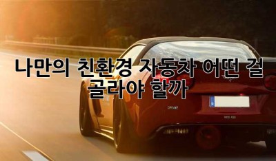 나만의 친환경 자동차, 어떤 걸 골라야 할까? 🤔