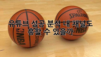 유튜브 성공 분석: 내 채널도 흥할 수 있을까? 🤔