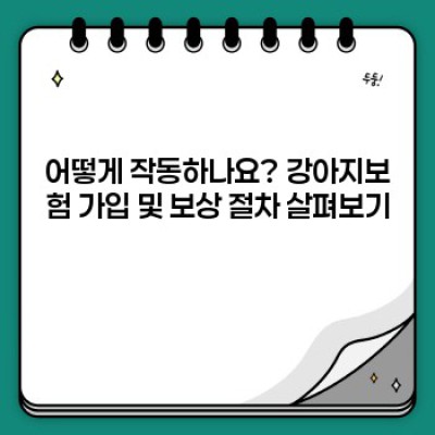 우리 강아지, 미리 지켜주는 사랑: 강아지보험 완벽 가이드