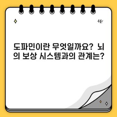 도파민의 모든 것: 효과, 부작용, 그리고 건강한 균형을 위한 가이드