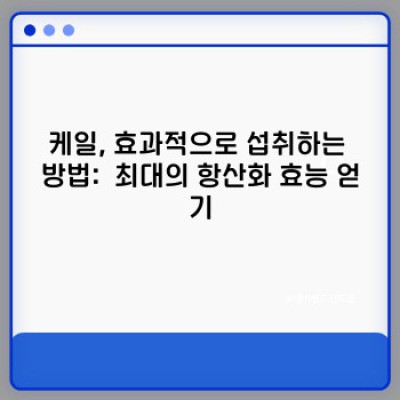 케일 항산화 효능 제대로 알고 건강 챙기기: 궁금증 해결 완벽 가이드
