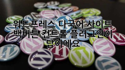워드프레스 다국어 사이트? 백버튼 컨트롤 플러그인이 답이에요!