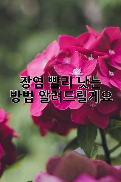 장염, 빨리 낫는 방법 알려드릴게요!