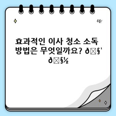 이사 청소 완벽 가이드: 소독 청소로 새 보금자리 위생 확보하기