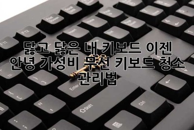 닳고 닳은 내 키보드, 이젠 안녕! 가성비 무선 키보드 청소 & 관리법