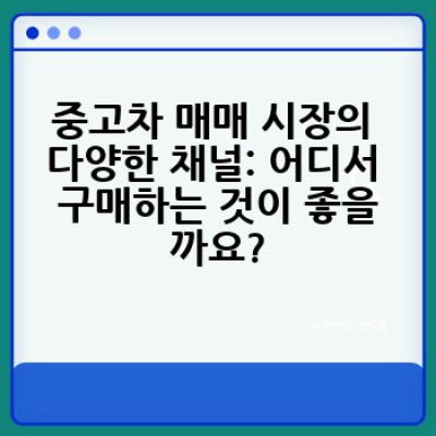 중고 자동차 구매, 어떻게 하면 현명하게 할 수 있을까요?