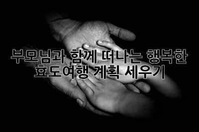부모님과 함께 떠나는 행복한 효도여행 계획 세우기