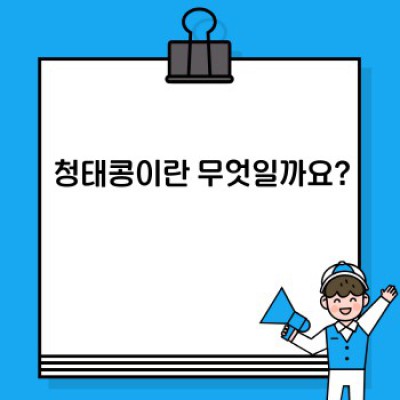 청태콩 효능: 건강한 삶을 위한 푸른 기적