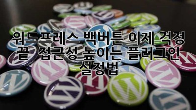 워드프레스 백버튼, 이제 걱정 끝!  접근성 높이는 플러그인 설정법