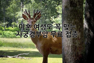 미혼 여성도 꼭 맞는 자궁경부암 무료 접종