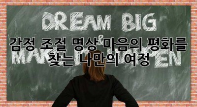 감정 조절 명상: 마음의 평화를 찾는 나만의 여정 ✨