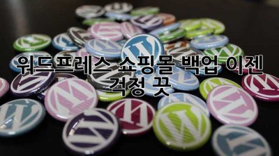 워드프레스 쇼핑몰 백업? 이젠 걱정 끗! 😉