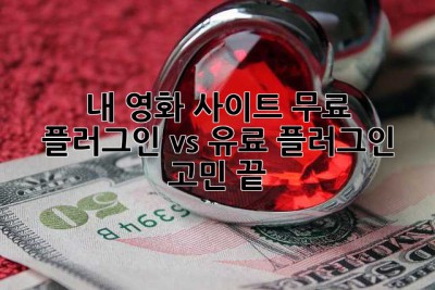🎬 내 영화 사이트, 무료 플러그인 vs 유료 플러그인? 고민 끝!