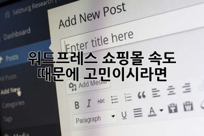 워드프레스 쇼핑몰, 속도 때문에 고민이시라면? 🚀