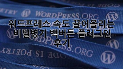 워드프레스 속도 끌어올리는 비밀병기? 백버튼 플러그인 후기!