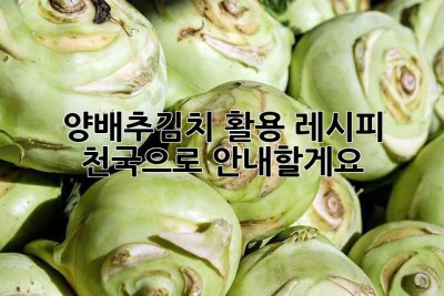 양배추김치 활용 레시피 천국으로 안내할게요! ✨