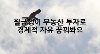 월급쟁이, 부동산 투자로 경제적 자유 꿈꿔봐요!
