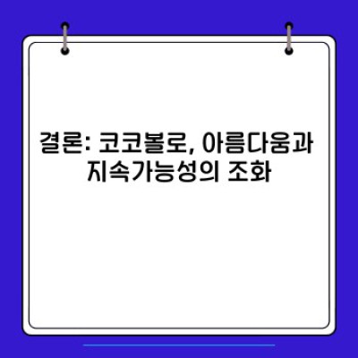 코코볼로 목재: 종류, 특징, 가구 및 악기 제작에 사용되는 이유 완벽 가이드