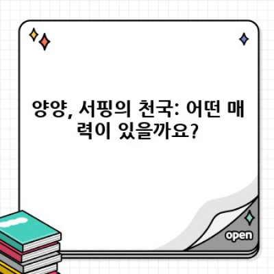 양양 서핑 완벽 가이드: 초보부터 숙련자까지, 모든 것을 담았습니다!