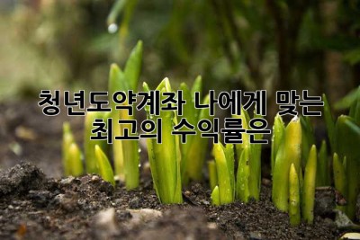 청년도약계좌, 나에게 맞는 최고의 수익률은?