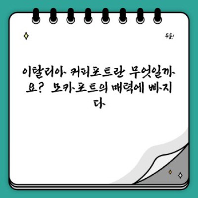 이탈리아 커피포트: 모카포트 완벽 가이드 - 종류, 사용법, 역사까지!