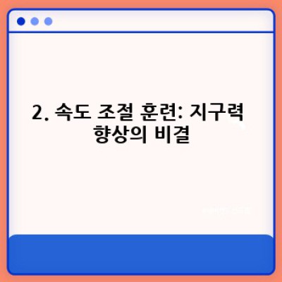 마라톤 완주를 위한 완벽 가이드: 효과적인 마라톤 연습 계획