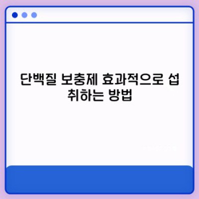 단백질보충제 완벽 가이드: 목표 달성을 위한 선택과 사용법