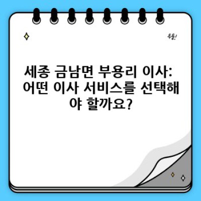 세종 금남면 부용리 이사 대행 서비스 완벽 가이드: 이사짐센터 선택부터 비용까지!