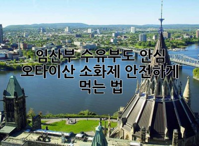 임산부, 수유부도 안심! 오타이산 소화제 안전하게 먹는 법