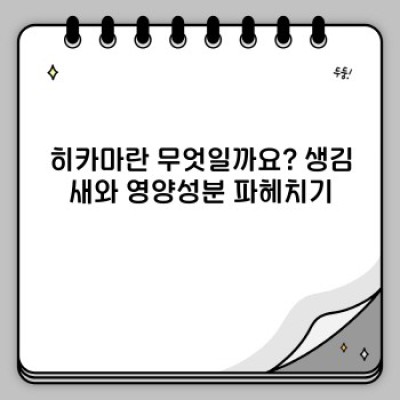히카마 효능 총정리: 혈당 관리부터 다이어트까지, 히카마의 놀라운 효능과 활용법!