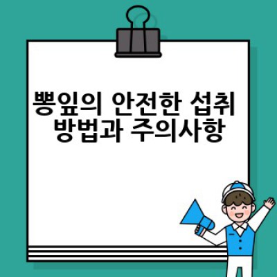 뽕잎, 어떻게 활용하면 건강에 좋을까요? 효능과 활용법 총정리