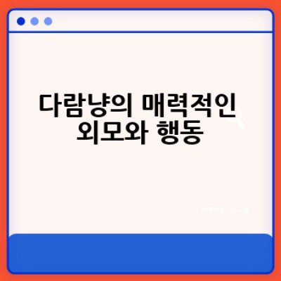 다람쥐처럼 귀여운 고양이, 다람냥은 무엇일까요?