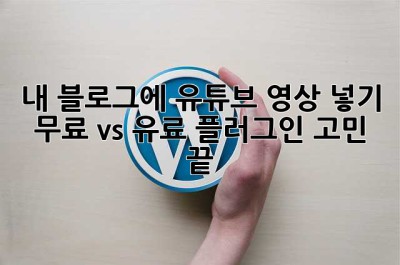 내 블로그에 유튜브 영상 넣기? 무료 vs 유료 플러그인 고민 끝!