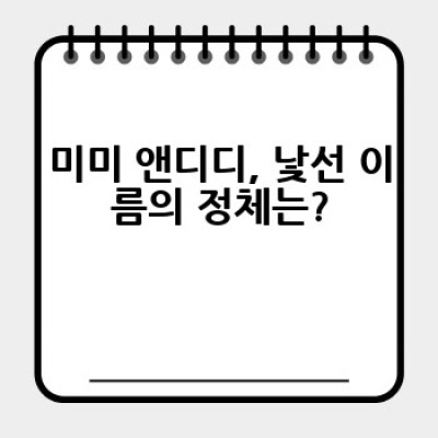 미미 앤디디는 무엇이며, 어떻게 활용하면 좋을까요?  : 육아맘 필수템, 미미 앤디디 완벽 가이드