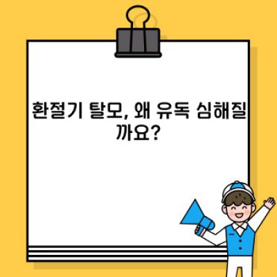 환절기 탈모, 진짜 내 머리카락 왜 이래? 원인과 해결책 완벽 가이드