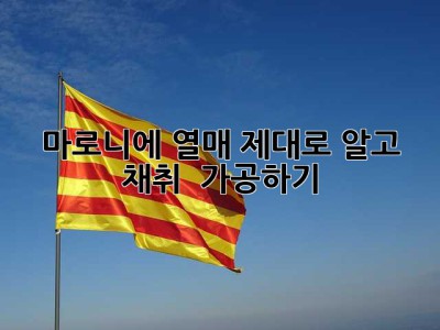 마로니에 열매, 제대로 알고 채취 & 가공하기