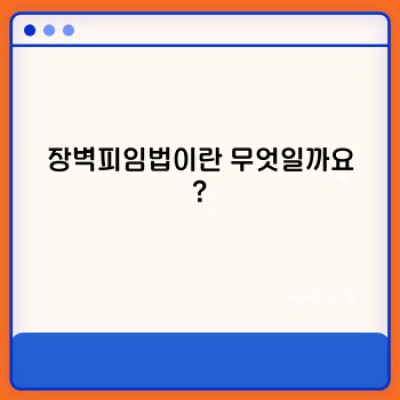 장벽피임법 완벽 가이드: 종류, 효과, 사용법, 주의사항 총정리