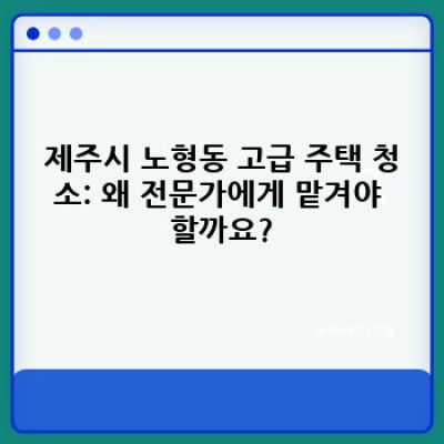 제주시 노형동 고급 주택 청소: 완벽한 청결을 위한 모든 것