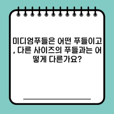 미디엄푸들 요약정보 미리보기: 성격, 크기, 관리법, 건강, 역사까지 완벽 가이드