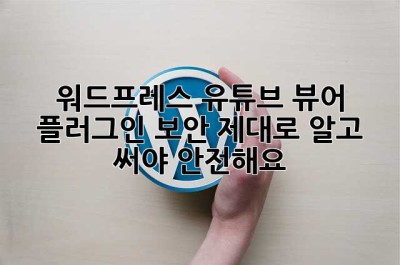 워드프레스 유튜브 뷰어 플러그인 보안, 제대로 알고 써야 안전해요!