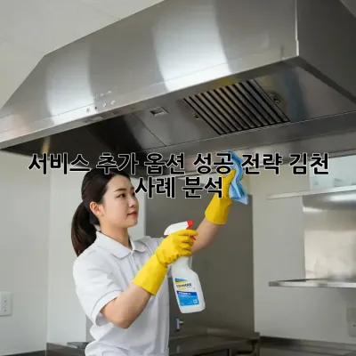 서비스 추가 옵션 성공 전략: 김천 사례 분석