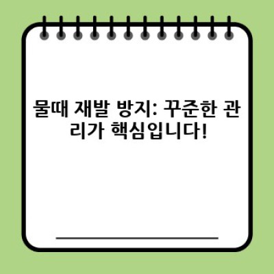 욕실 물때 제거 청소 완벽 가이드: 전문가급 기술과 관리 요령