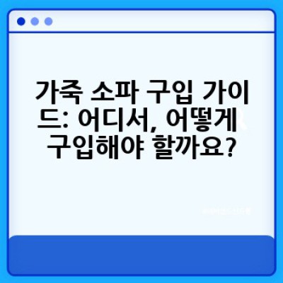 가죽 소파, 어떻게 고르고 관리해야 할까요? 완벽 가이드