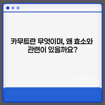카무트 효소: 효능, 부작용, 그리고 안전한 섭취 방법 완벽 가이드