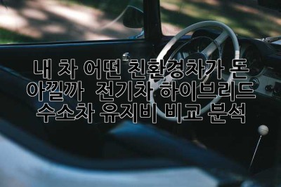 내 차, 어떤 친환경차가 돈 아낄까? 🤔 전기차? 하이브리드? 수소차? 유지비 비교 분석!