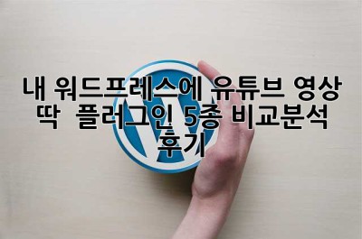 내 워드프레스에 유튜브 영상 딱!  플러그인 5종 비교분석 후기